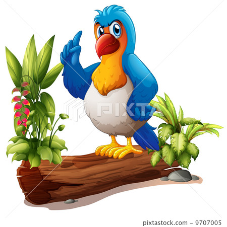 A parrot above the trunk with plants A parrot above the trunk with plants 9707005