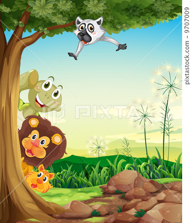 Animals hiding Animals hiding 9707009