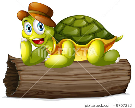 A turtle above a log A turtle above a log 9707283