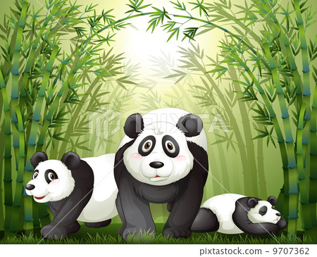Three big bears at the rainforest - Stock Illustration [9707362] - PIXTA