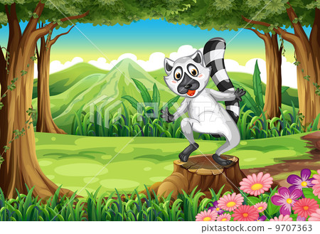 A playful lemur at the forest standing above the stump A playful lemur at the forest standing above the stump 9707363