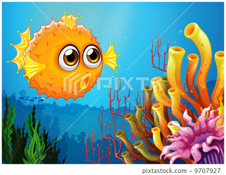 A puffer fish near the coral reefs A puffer fish near the coral reefs 9707927