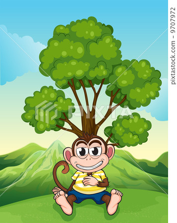 A monkey frowning under the tree at the hilltop A monkey frowning under the tree at the hilltop 9707972