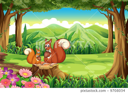 Squirrels at the forest 9708034