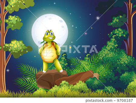 A turtle standing above the rock in the middle of the forest A turtle standing above the rock in the middle of the forest 9708187