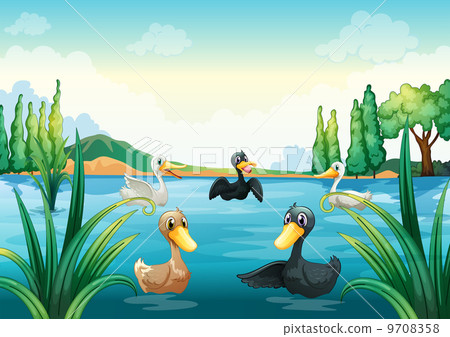 A group of aquatic birds at the pond A group of aquatic birds at the pond 9708358