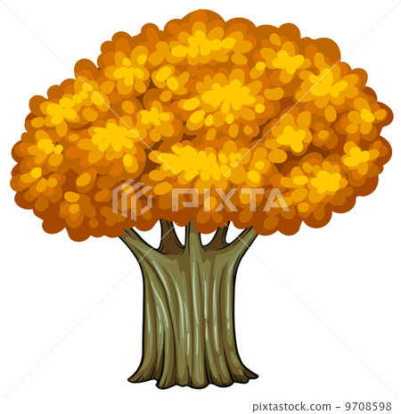 A big old tree A big old tree 9708598