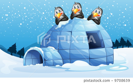 Three penguins above the igloo Three penguins above the igloo 9708639
