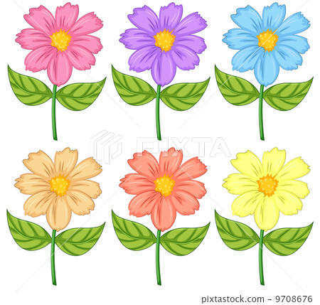 Six colorful flowers 9708676