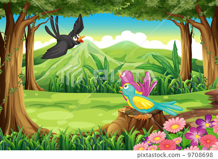 Birds at the forest 9708698