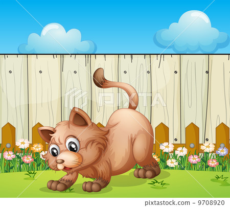 A cat playing at the backyard A cat playing at the backyard 9708920