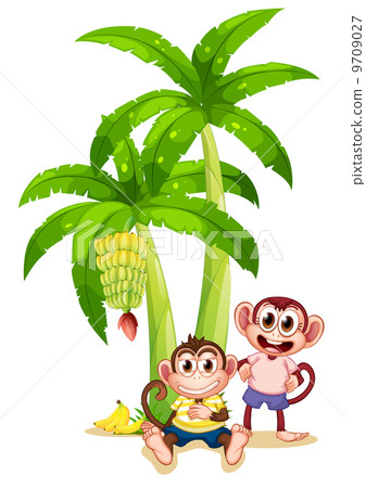Two monkeys under the banana plants 9709027