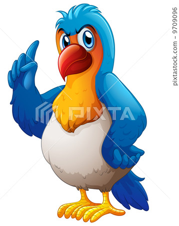 A colorful parrot 9709096