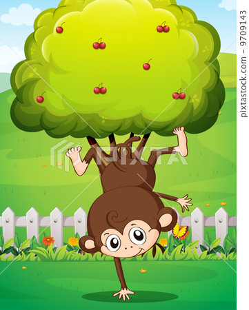 A monkey doing a handstand inside the yard with a fence 9709143