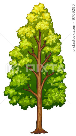 A tree 9709290