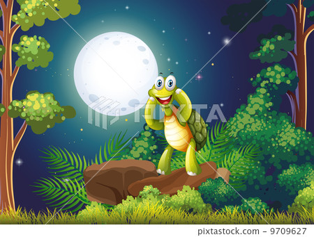 A smiling turtle at the forest in the middle of the night A smiling turtle at the forest in the middle of the night 9709627
