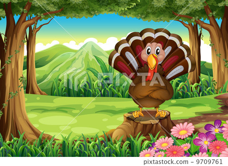 A forest with a turkey A forest with a turkey 9709761