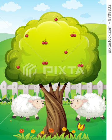 Sheeps inside the fence near the apple tree - Stock Illustration ...