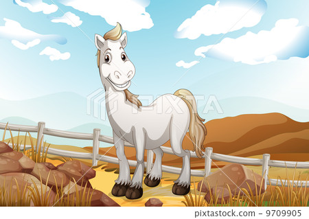 A white horse near the wooden fence 9709905