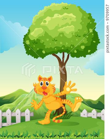 A playful tiger under the tree at the hilltop 9709957
