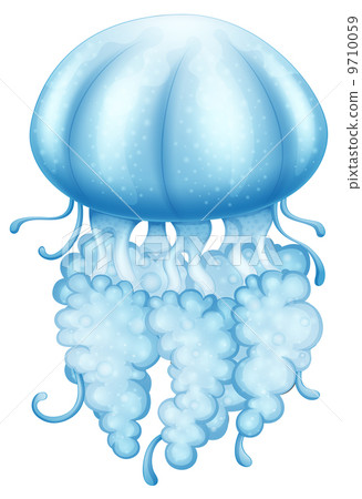 A blue jellyfish 9710059