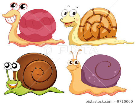 Four snails with different shells 9710060