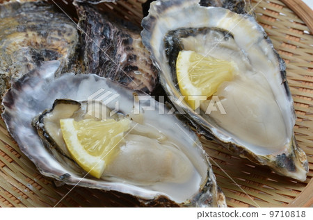 生蠔 生蠔 9710818