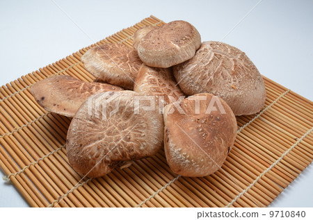 Shiitake mushroom Shiitake mushroom 9710840