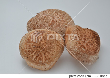 Shiitake mushroom Shiitake mushroom 9710844