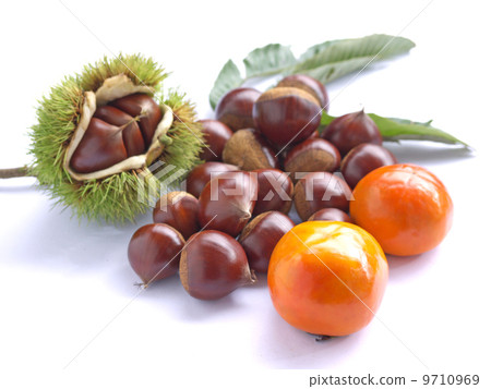 Chestnut and persimmon Chestnut and persimmon 9710969