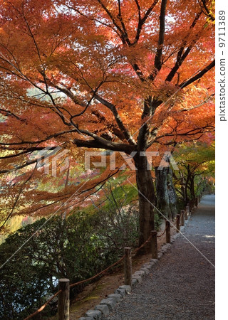 The approach of Ryoanji The approach of Ryoanji 9711389
