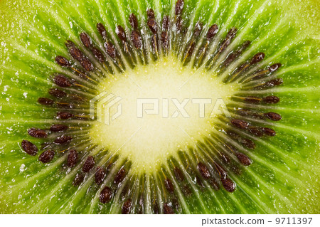 Kiwi fruit inside with seeds 9711397