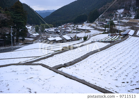 Rice terrace in winter Rice terrace in winter 9711513