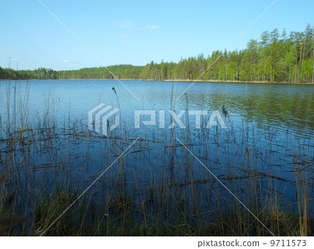 beautiful lake in Karelia beautiful lake in Karelia 9711573