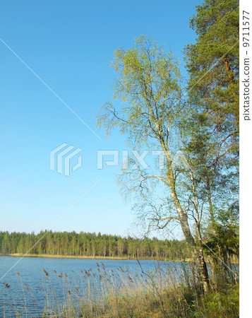 beautiful lake in Karelia beautiful lake in Karelia 9711577
