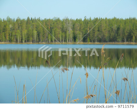 beautiful lake in Karelia beautiful lake in Karelia 9711579