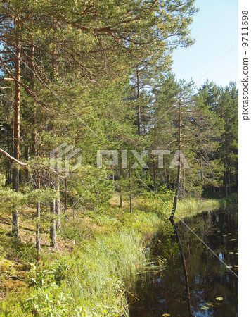 beautiful lake in Karelia 9711698
