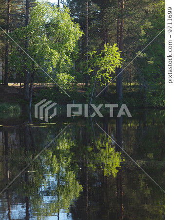 beautiful lake in Karelia 9711699