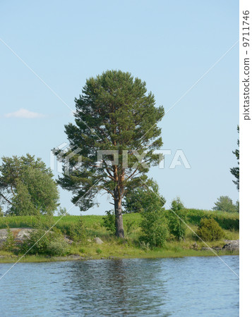 beautiful lake in Karelia beautiful lake in Karelia 9711746