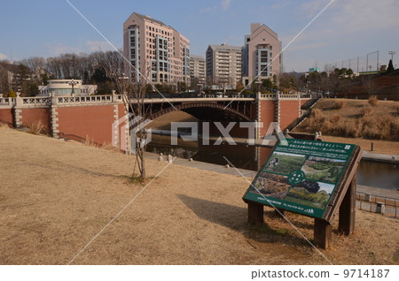 Hachioji Nagaike Park January 9714187