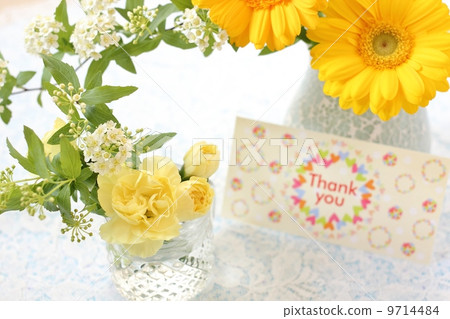 Flower gift 9714484