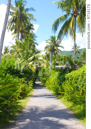 Bali's country road 9718178