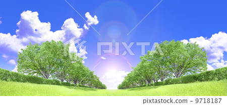 Zelkova trees tree grassland blue sky cloud backlight cutout synthesis 9718187