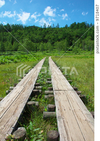 Tanohara Mogara 9718407