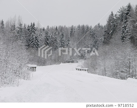 winter forest winter forest 9718552
