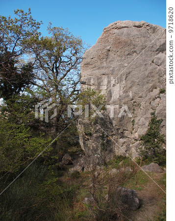 Trees in the Crimean mountains Trees in the Crimean mountains 9718620