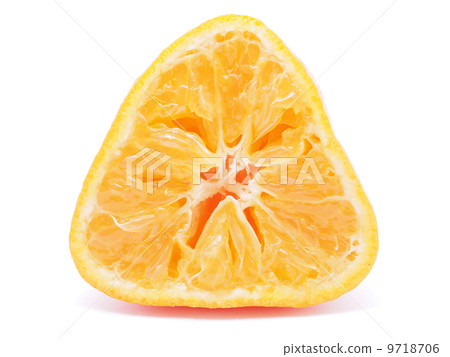 tangerine on white background tangerine on white background 9718706