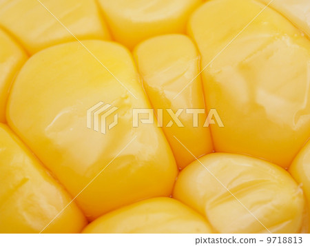 corn close up corn close up 9718813