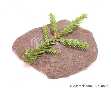 leaves and stone on white background 9718814