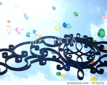Balloon Release 9719202